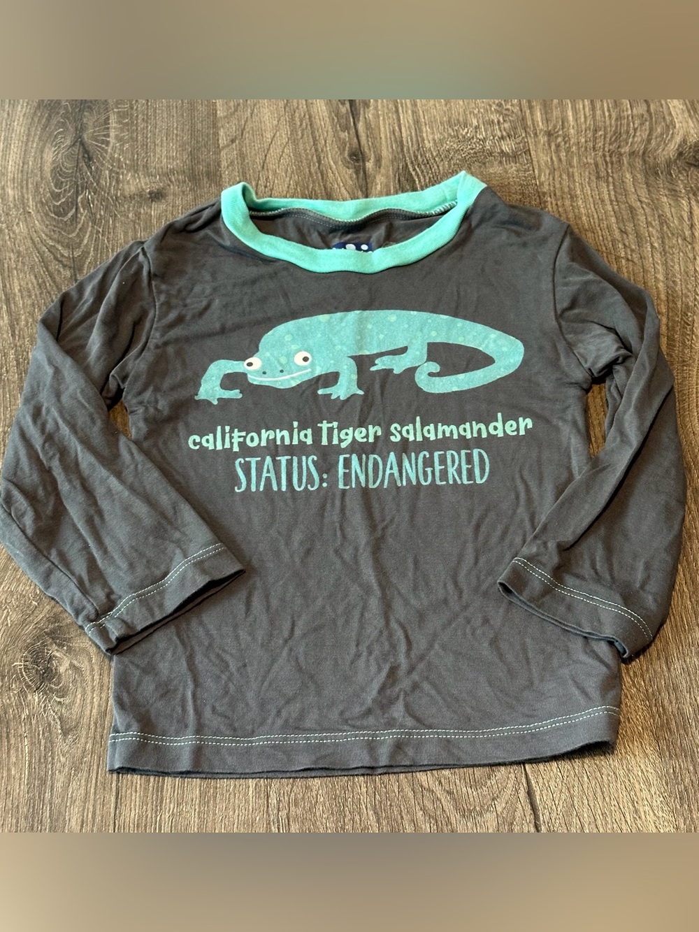 3t Kickee Pants Gray Longsleeve Tee with Teal Salamander Graphic